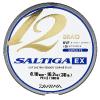 Saltiga 12 Braid EX 33/100